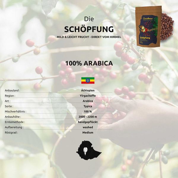 Die Schöpfung | Filterkaffee / Coldbrew - Goodbean - Goodbean