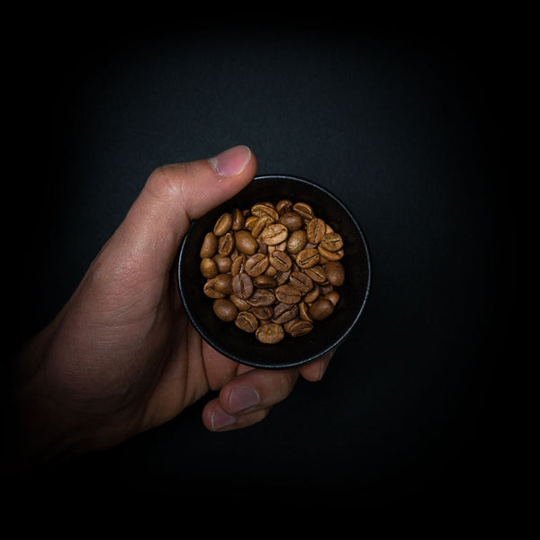 Die Entdeckung | Kaffee - Goodbean - Säurearm
Speciality Coffee - Kaffee Bohnen - Indien - Malabar Monsooned