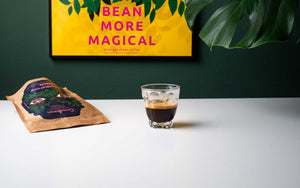 Der ultimative Anfänger Espresso Brew Guide