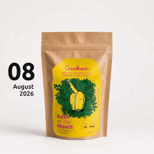 Bohne des Monats | August 2026 | GUATEMALA - Lampocoy