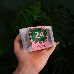 100-g-Tüte des Goodbean Adventskalenders 2026 mit der Banderole für Tag 23 und 24, in der Hand vor Monstera-Blättern