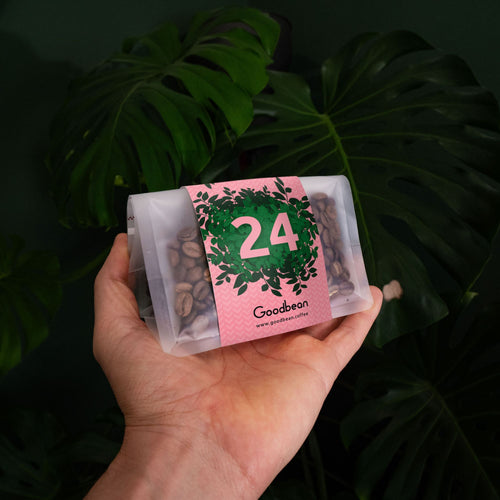 Kaffee Adventskalender 2026 | 12 x 100 g für 24 Tage
