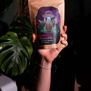 EntGOOD Decaf von Goodbean, Kaffeetüte in der Hand vor Monstera
