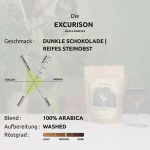 The Excursion - Goodbean - Goodbean